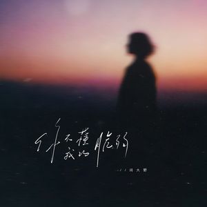 你不懂我的脆弱