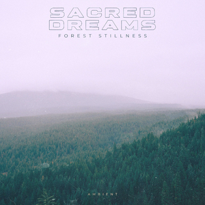 Forest Stillness