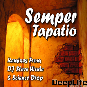 Tapatio (DJ Steve Wade's Minimal Burn Remix)