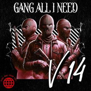 Gang All I Need