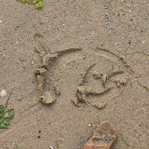 又像风儿又像雨（feat.洛天依&乐正绫）