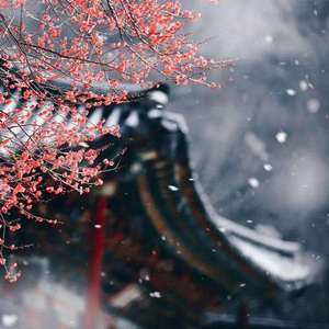 梅香如故（翻自周深毛不易）