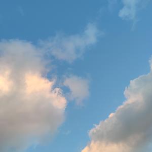 dear.(Prod. EVOMUSIC)