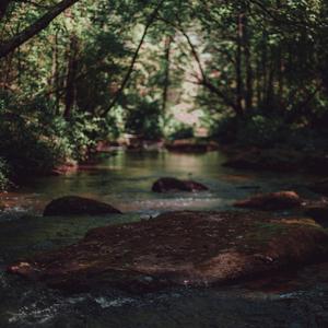 The other side of this life