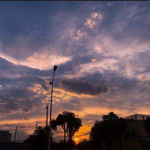 谈恋爱前不如先养猫