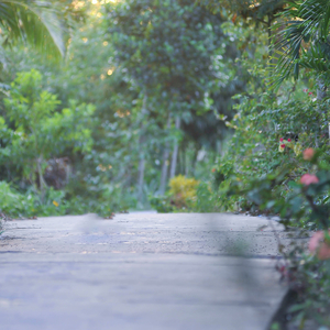 Con Pho Vang (Original)