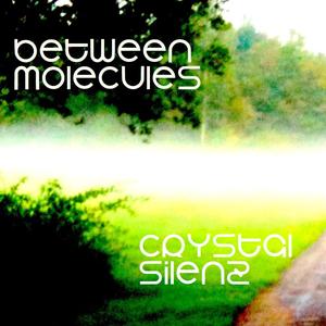 Between Molecules