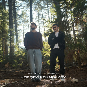 Her Şeyi Kenara Koy