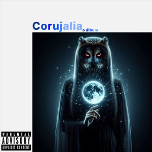 Corujas Me Veem