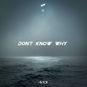 Avicii-Don't Know Why