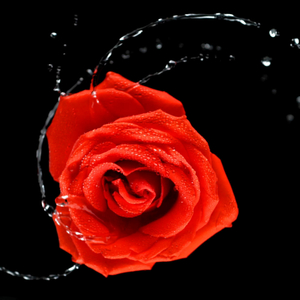 Passion (feat. Arowbeegee)