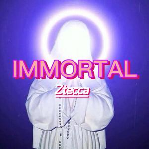IMMORTAL（feat by poky）