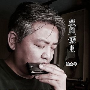 晨风暖阳 (姚志华口琴版)