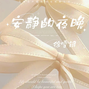 安静的夜晚