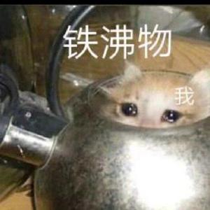 我与春风皆过客（翻自 添儿呗）