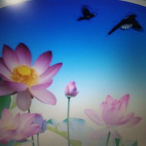 喜欢就一定要在一起吗