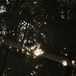 盛夏Prod by Attbeat