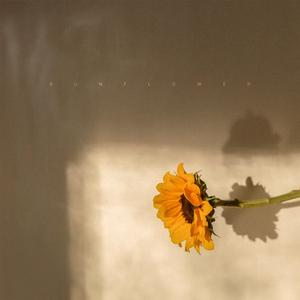 Sunflower (Instrumental)