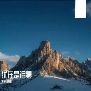 犹在是泪痕