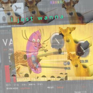 I just wanna