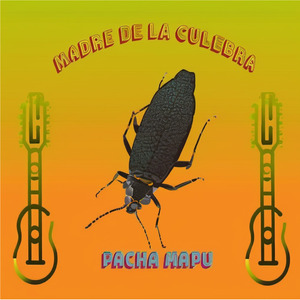 Madre de la Culebra Fantasía en Charango