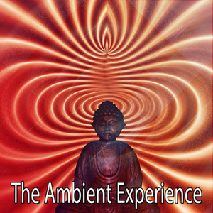 Heavy Rain in the Forest