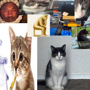 ohhhhh (intermission)