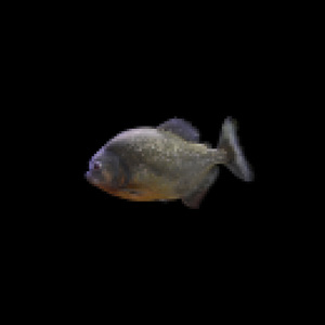 미신 (Spill The Wine)