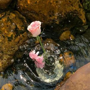 朋友啊朋友不离不弃