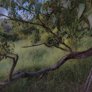 Kata Mereka (Acoustic)