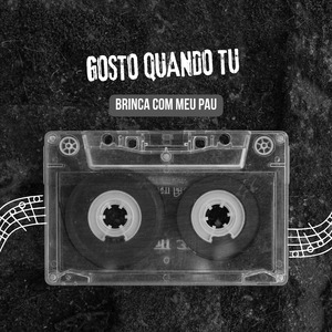 Montagem - Gosto Quando Tu Brinca Com Meu Pau (Remix)