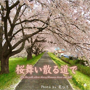 桜舞い散る道で