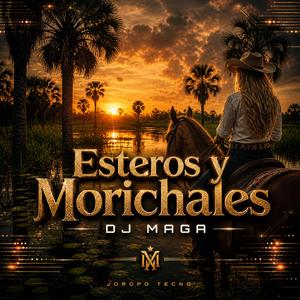 Esteros y Morichales