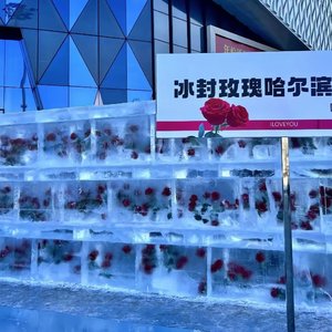 HPBD 祝你生日快乐