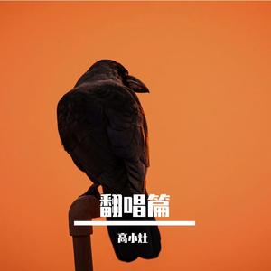 从此我等风等雨不等你