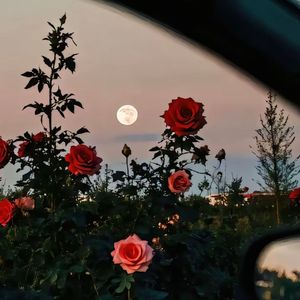 Angel type&四月天