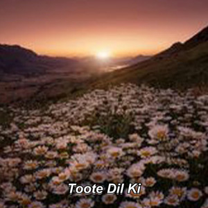 Toote Dil Ki