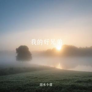 我的好兄弟 (Cover 高进 & 小沈阳)