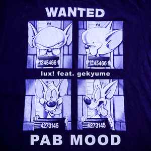 Pab Mood
