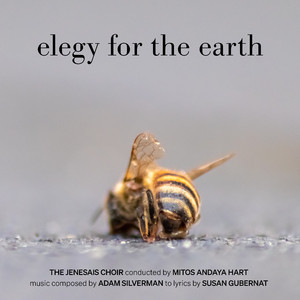 Elegy for the Earth:II. The Koch Foundation