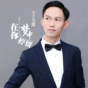 在你梦中停留