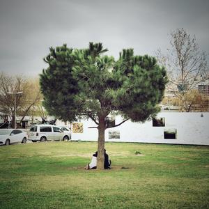 我才不在意你对我怎么样