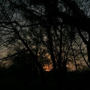 一定要爱你（翻自 傲叔）