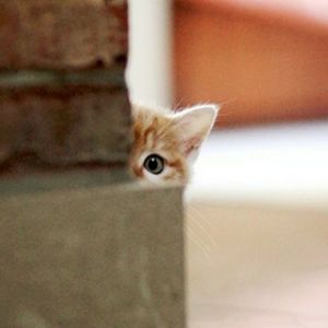 这一生关于你的风景