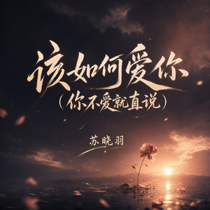 该如何爱你(你不爱就直说)