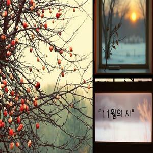 11월의 시 (November Poem)