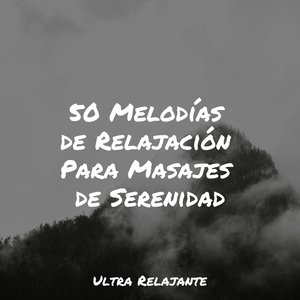 Revolotea en La Brisa