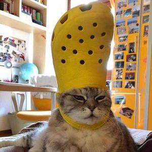 温泉（翻自 许嵩）