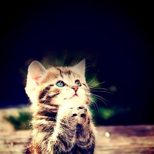 Swirly (feat. fangmadesoso)