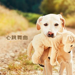 笑容律动 (吉他)